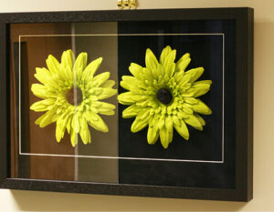 Anti Reflective Glass