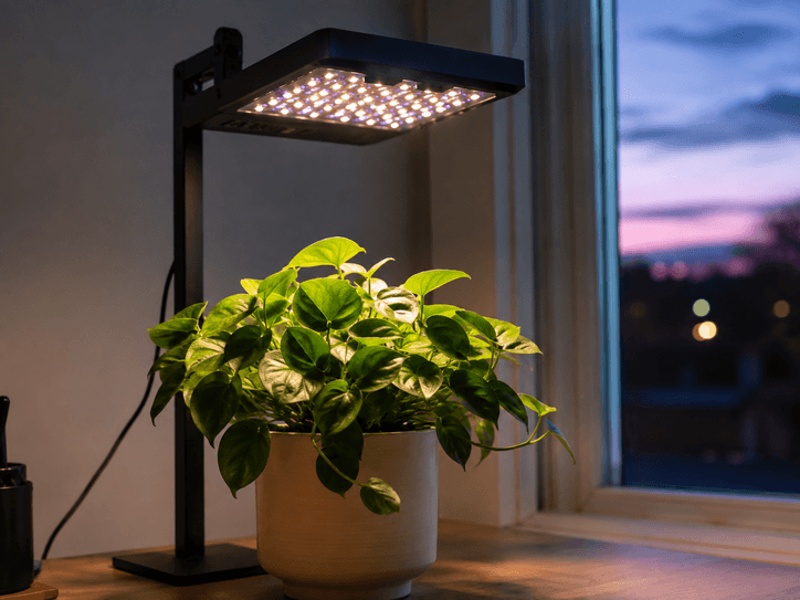 led-grow-light-houseplant-supplemental-lighting